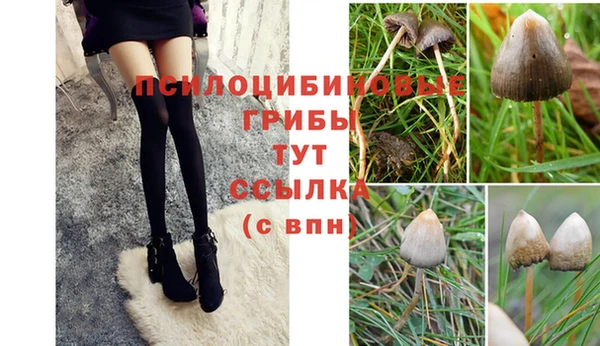 марки nbome Белокуриха