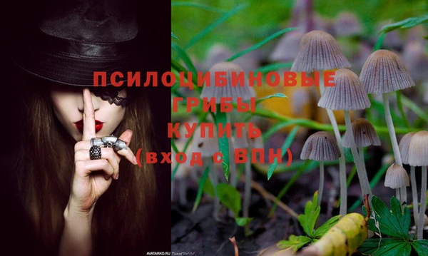 ешки Белоозёрский