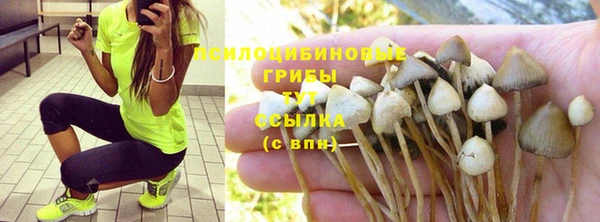МДМА Богородск