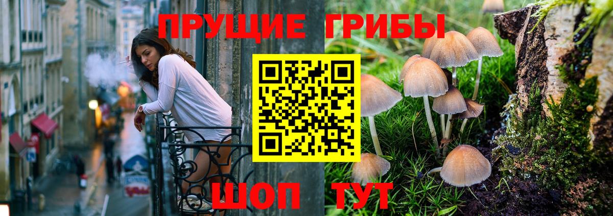 Галлюциногенные грибы Psilocybe  Вход с VPN  Горно-Алтайск  Псилоцибиновые грибы прущие грибы 
